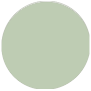Vendeurs de Robes demoiselle d'honneur Vert Sauge