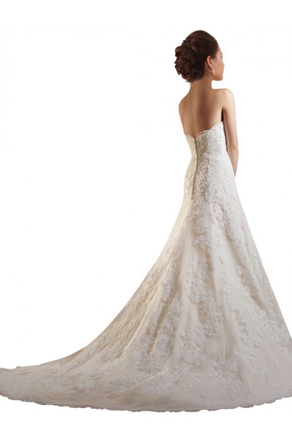 Vendeurs de Ivoire & Champagne Trapèze Tulle Dentelle Robes de mariée